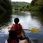 Paddles Up!