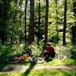 24 Things to do in The Forest!