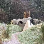 The Warm Garden!