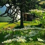 May Days