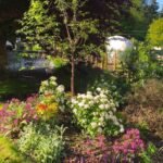 3 Wonderful things about Secret Garden Glamping