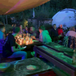 Dome Garden Faqs